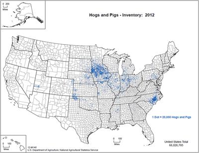 A Review of Classical Swine Fever Virus and Routes of Introduction into the United States and the Potential for Virus Establishment